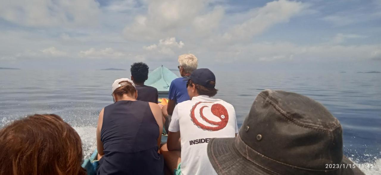 Arborek Diving Homestay R4 Besir Kültér fotó