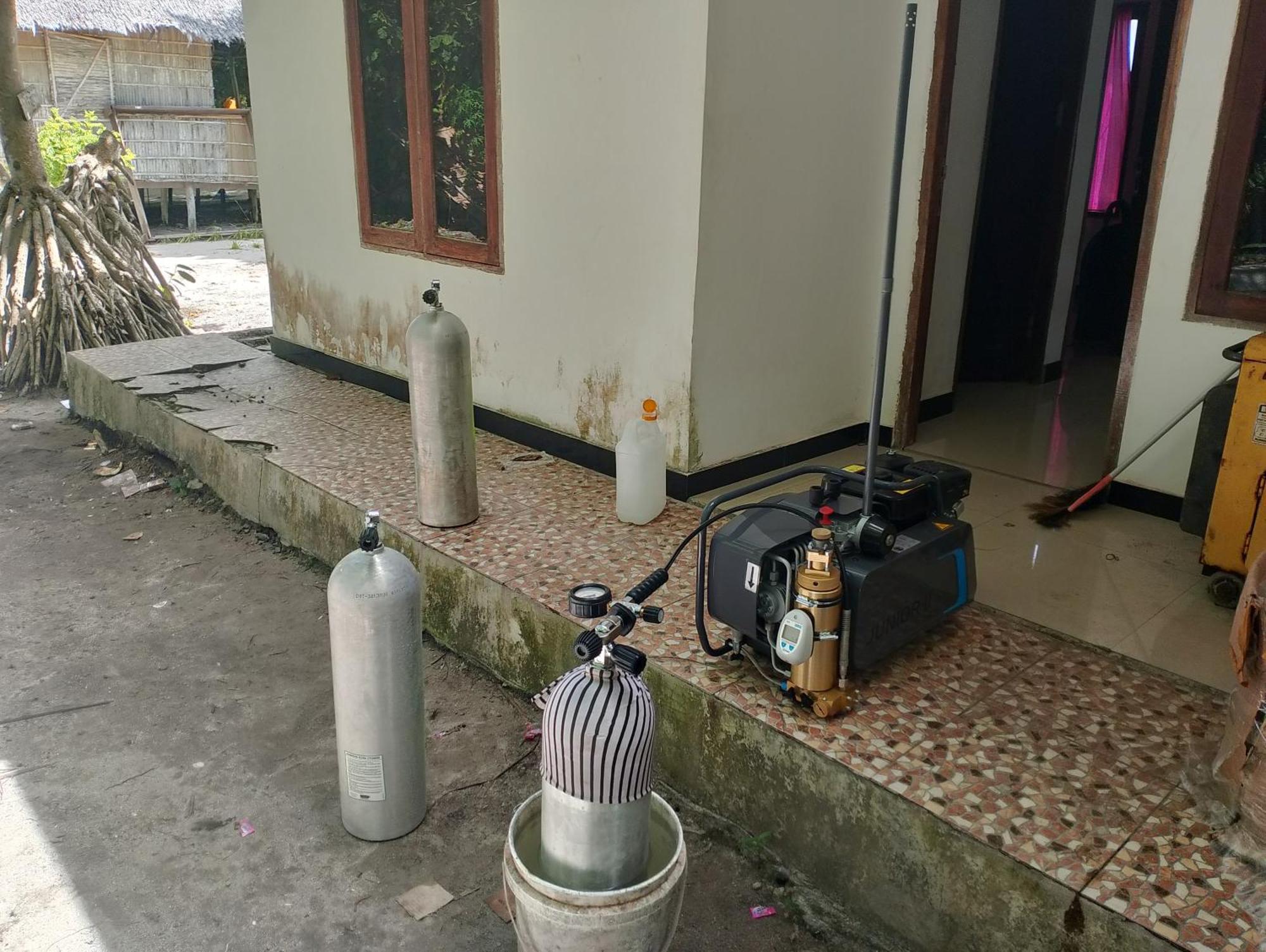 Arborek Diving Homestay R4 Besir Kültér fotó