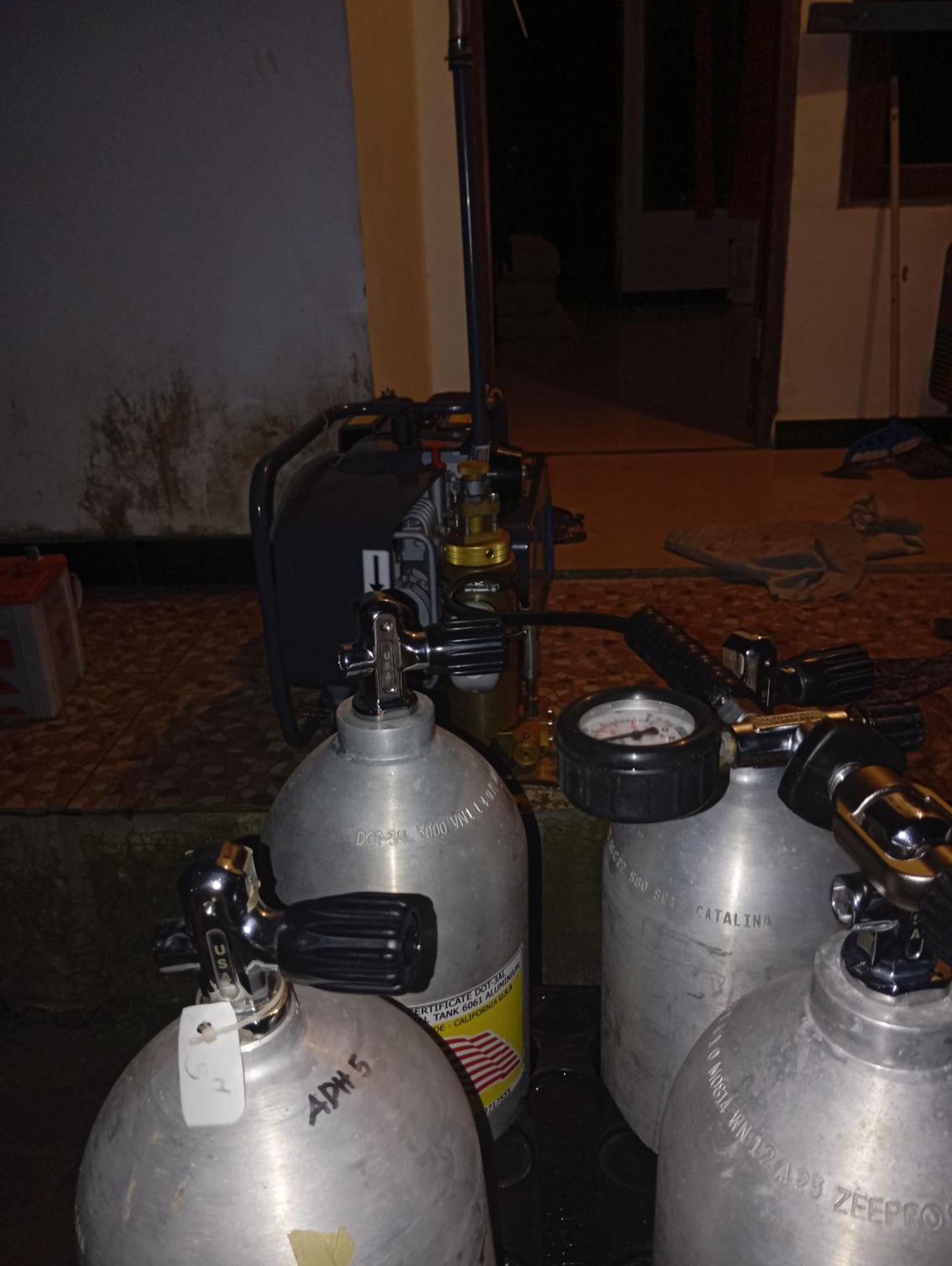 Arborek Diving Homestay R4 Besir Kültér fotó